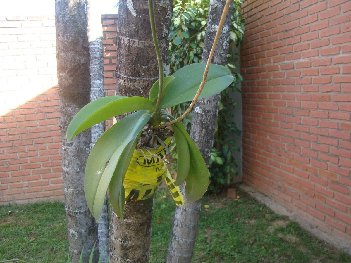 Sur Backpackers Santa Cruz de La Sierra Exterior foto