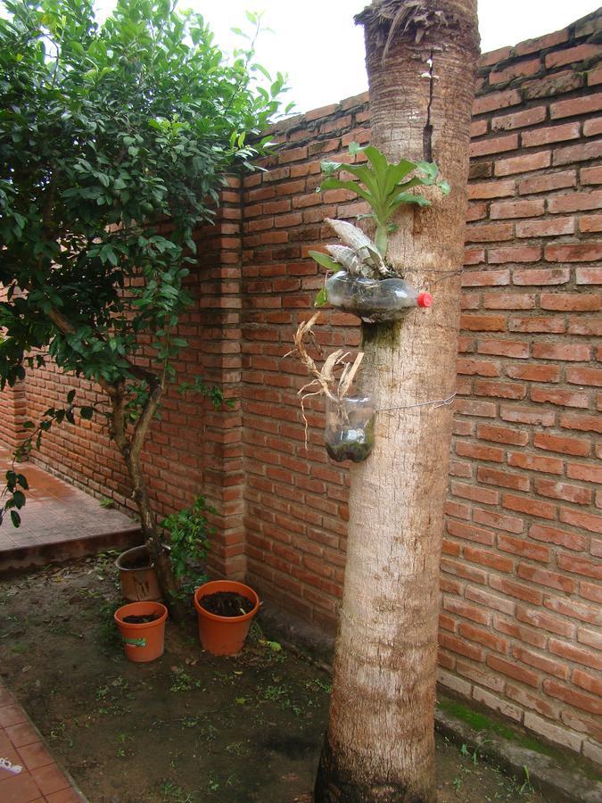 Sur Backpackers Santa Cruz de La Sierra Exterior foto